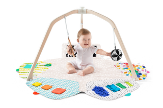 The Play Gym