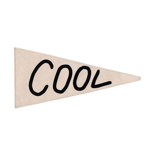 cool pennant